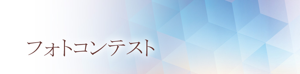 オリジナル賞状 Only One For You アートアルファ